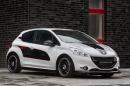 Peugeot 208 EnGarde by Musketier