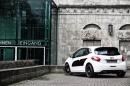 peugeot-208-engarde-by-musketier