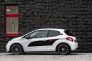 peugeot-208-engarde-by-musketier