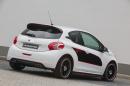 peugeot-208-engarde-by-musketier