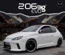 Peugeot 206 Big Evo