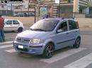 FIAT Panda di poilmodder