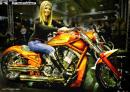 Harley-Davidson vrsca di lost