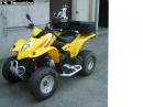 KYMCO kxr 250 sports di Cato Tuning